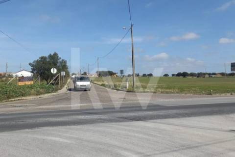 🏗️ TERRENO INDUSTRIAL | 75.000 m² | MONTIJO