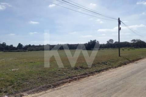🏗️ TERRENO INDUSTRIAL | 75.000 m² | MONTIJO