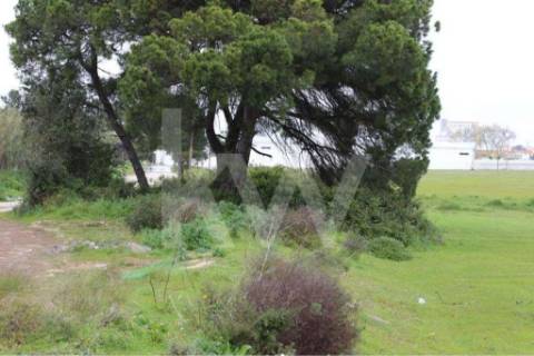 🏗️ TERRENO INDUSTRIAL | 75.000 m² | MONTIJO