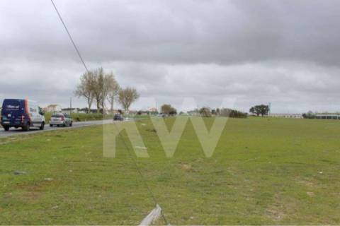🏗️ TERRENO INDUSTRIAL | 75.000 m² | MONTIJO