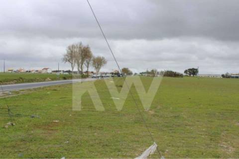 🏗️ TERRENO INDUSTRIAL | 75.000 m² | MONTIJO