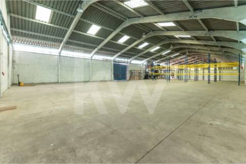 Complexo Industrial 34.750m² em Vagos | Potencial de Expansão e Logística Privilegiada