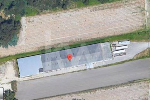 Complexo Industrial 34.750m² em Vagos | Potencial de Expansão e Logística Privilegiada