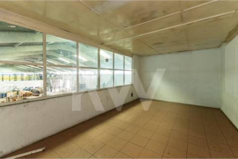 Complexo Industrial 34.750m² em Vagos | Potencial de Expansão e Logística Privilegiada