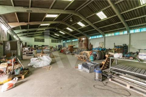 Complexo Industrial 34.750m² em Vagos | Potencial de Expansão e Logística Privilegiada