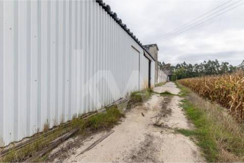 Complexo Industrial 34.750m² em Vagos | Potencial de Expansão e Logística Privilegiada