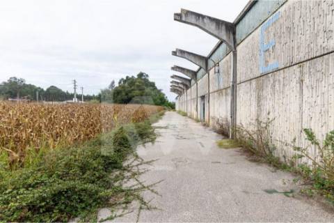 Complexo Industrial 34.750m² em Vagos | Potencial de Expansão e Logística Privilegiada