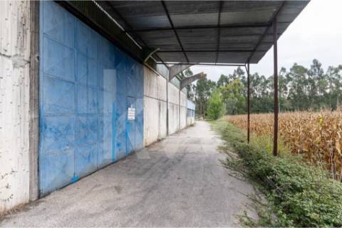 Complexo Industrial 34.750m² em Vagos | Potencial de Expansão e Logística Privilegiada