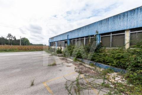 Complexo Industrial 34.750m² em Vagos | Potencial de Expansão e Logística Privilegiada