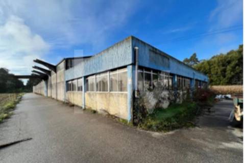 Complexo Industrial 34.750m² em Vagos | Potencial de Expansão e Logística Privilegiada