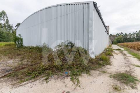 Complexo Industrial 34.750m² em Vagos | Potencial de Expansão e Logística Privilegiada