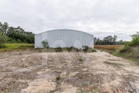 Complexo Industrial 34.750m² em Vagos | Potencial de Expansão e Logística Privilegiada
