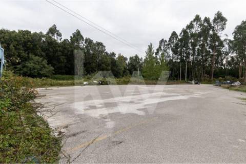 Complexo Industrial 34.750m² em Vagos | Potencial de Expansão e Logística Privilegiada