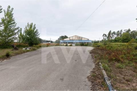 Complexo Industrial 34.750m² em Vagos | Potencial de Expansão e Logística Privilegiada