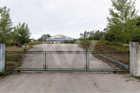 Complexo Industrial 34.750m² em Vagos | Potencial de Expansão e Logística Privilegiada