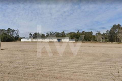Complexo Industrial 34.750m² em Vagos | Potencial de Expansão e Logística Privilegiada