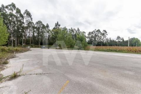Complexo Industrial 34.750m² em Vagos | Potencial de Expansão e Logística Privilegiada
