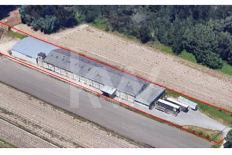 Complexo Industrial 34.750m² em Vagos | Potencial de Expansão e Logística Privilegiada