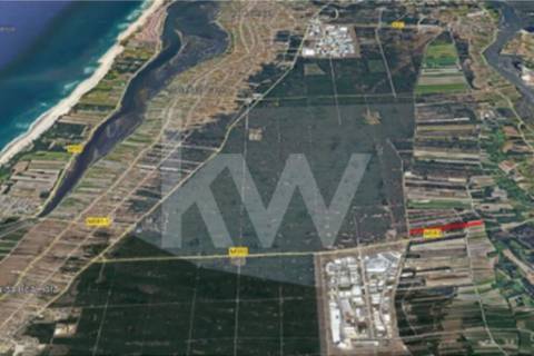Complexo Industrial 34.750m² em Vagos | Potencial de Expansão e Logística Privilegiada