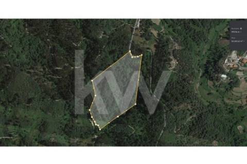 TERRENO DE 5,4 HECTARES LOCALIZADO EM GOSENDE - BAIÃO
