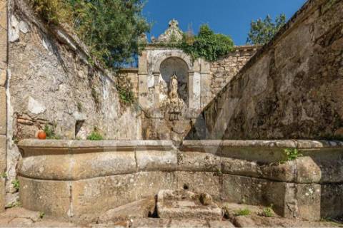 Quinta do Convento em Salzedas situada na Região do Távora-Varosa
