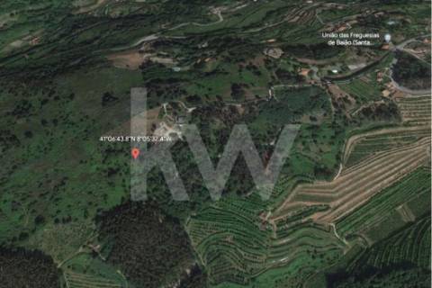 Terreno 510 em Santa Leocádia e Mesquinhata 13.900m2, localizado em Baião