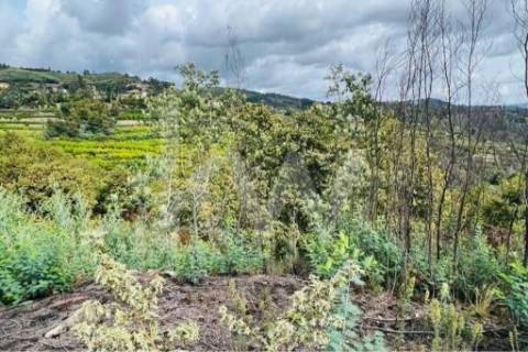 Terreno 510 em Santa Leocádia e Mesquinhata 13.900m2, localizado em Baião