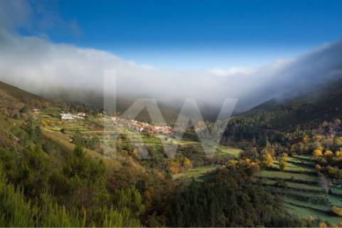 Terreno 510 em Santa Leocádia e Mesquinhata 13.900m2, localizado em Baião
