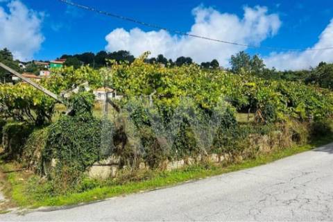 Terreno 2600 em Gestaçô com 3800m2, situado em Baião