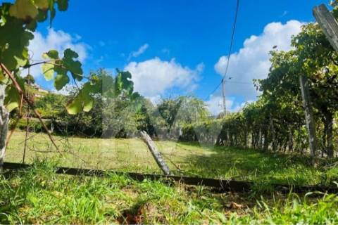 Terreno 2600 em Gestaçô com 3800m2, situado em Baião