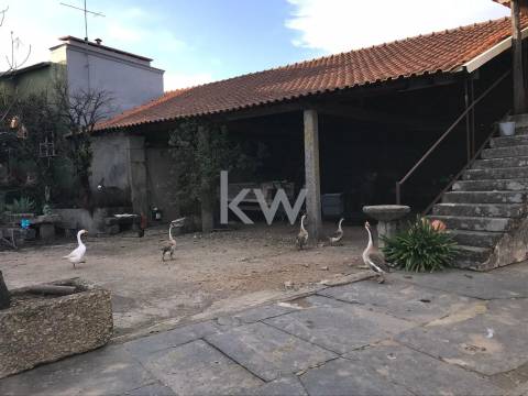Quinta Histórica Anos 30. Tradicional com Eira, Espigueiro e Celeiro. Reabilitar/Investir