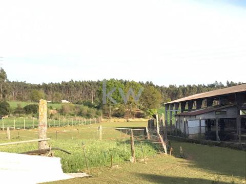 Quinta Histórica Anos 30. Tradicional com Eira, Espigueiro e Celeiro. Reabilitar/Investir