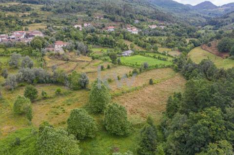 Alpendre, Palheiro, Moinho e Terreno de Cultivo em Asnela  - Cabeceiras de Basto