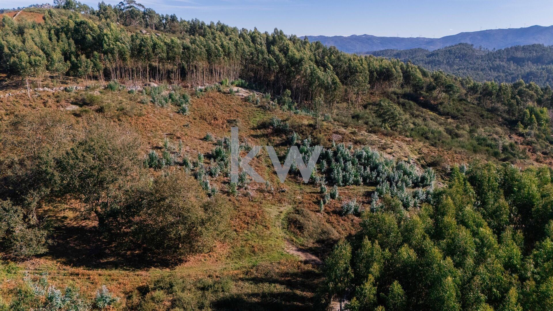 Terreno com viabilidade construtiva próximo do Gerês