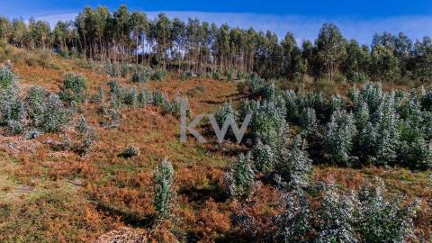 Terreno com viabilidade construtiva próximo do Gerês