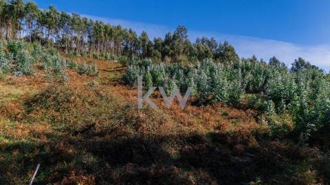 Terreno com viabilidade construtiva próximo do Gerês