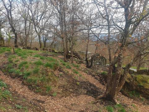 Propriedade na Aldeia de Asnela – Oportunidade Única para Turismo ou Agricultura.