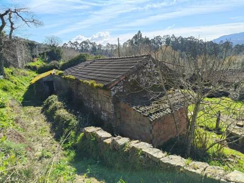 Quintinha com moradia para restauro - Covas - Vila Nova de Cerveira
