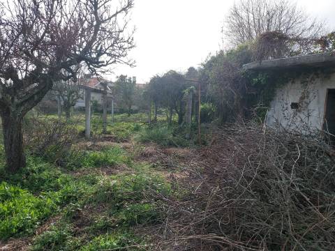 Terreno em Francelos perto do Mar para construção de moradia(s)
