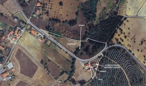  Dois Terrenos em Enxames – Fundão | 11.000m² com Ruína, Palheiro e Ribeira🏡