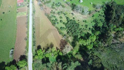  Dois Terrenos em Enxames – Fundão | 11.000m² com Ruína, Palheiro e Ribeira🏡
