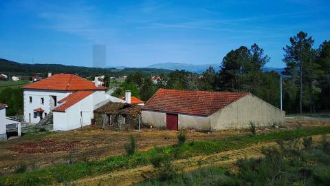  Dois Terrenos em Enxames – Fundão | 11.000m² com Ruína, Palheiro e Ribeira🏡
