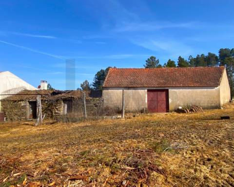  Dois Terrenos em Enxames – Fundão | 11.000m² com Ruína, Palheiro e Ribeira🏡