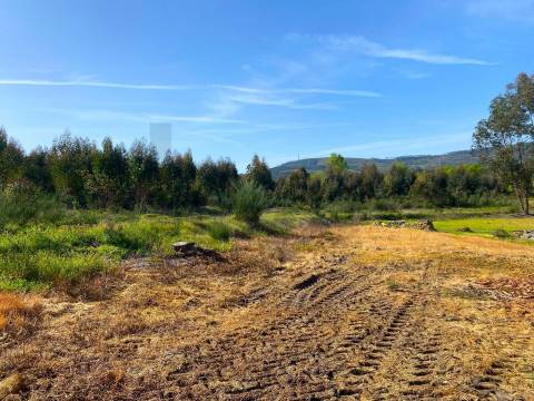  Dois Terrenos em Enxames – Fundão | 11.000m² com Ruína, Palheiro e Ribeira🏡