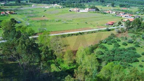  Dois Terrenos em Enxames – Fundão | 11.000m² com Ruína, Palheiro e Ribeira🏡