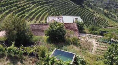 Quinta de Charme no Coração do Douro – Uma Oportunidade Única