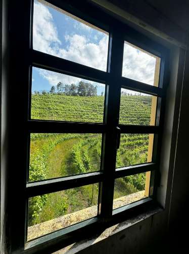 Quinta de Charme no Coração do Douro – Uma Oportunidade Única