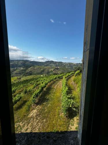 Quinta de Charme no Coração do Douro – Uma Oportunidade Única