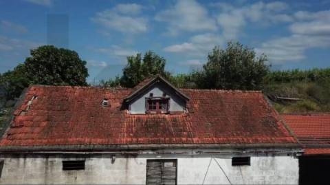 Quinta de Charme no Coração do Douro – Uma Oportunidade Única