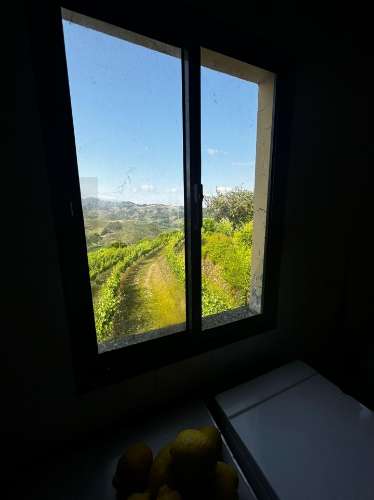 Quinta de Charme no Coração do Douro – Uma Oportunidade Única